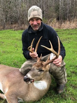Deer Past