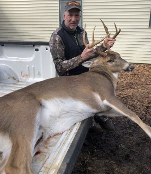 Deer Past