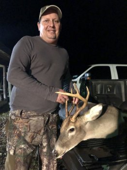 Deer Past