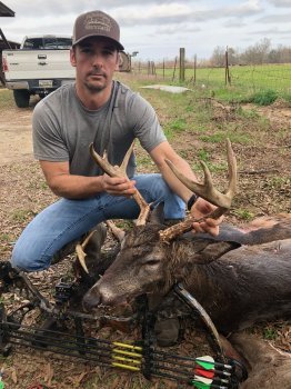 Deer Past