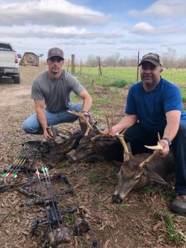 Deer Past