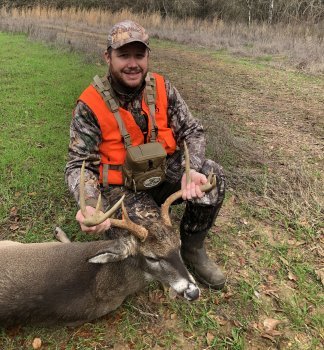 Deer Past