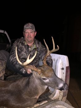 Deer Past