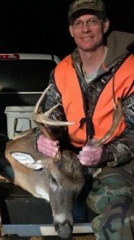 Deer Past