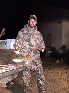 Deer Past