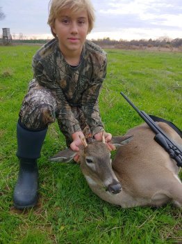 Deer Past