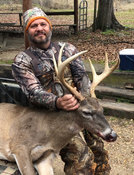 Deer Past