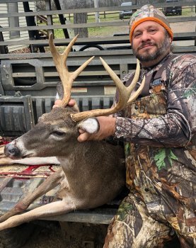 Deer Past