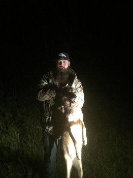 Deer Past