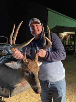 Deer Past