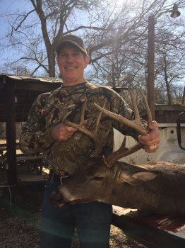 Deer Past