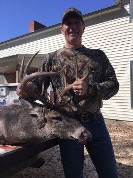 Deer Past