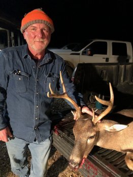 Deer Past