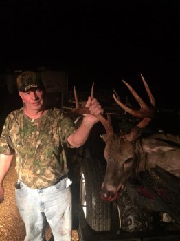 Deer Past