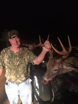 Deer Past