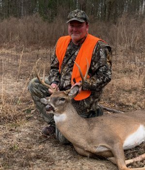 Deer Past