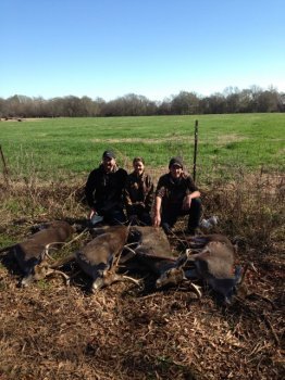 Deer Past