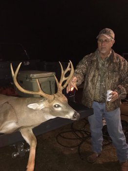 Deer Past