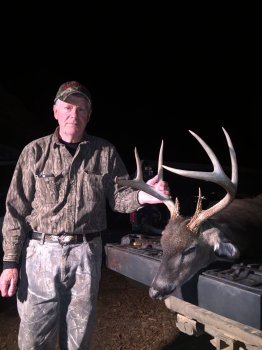 Deer Past