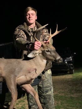 Deer Past