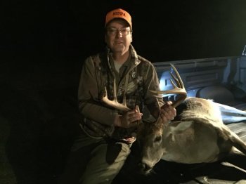Deer Past