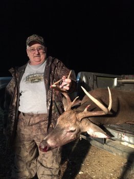 Deer Past