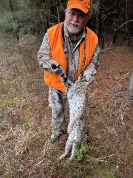 Deer Past
