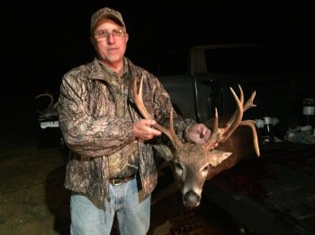 Deer Past