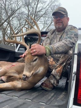 Deer Past