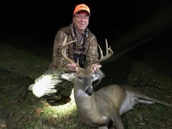 Deer Past