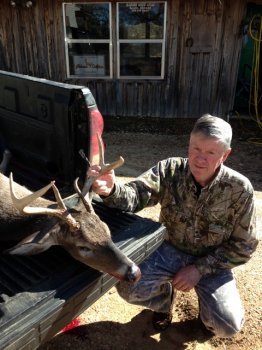 Deer Past