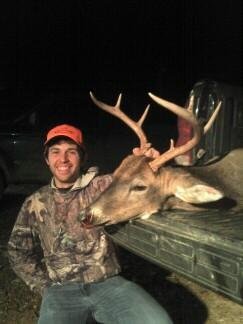 Deer Past
