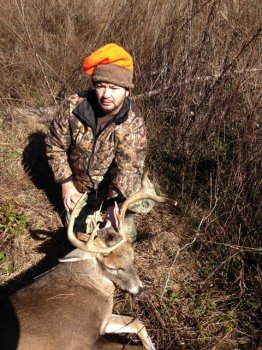 Deer Past