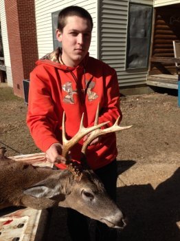 Deer Past