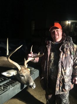 Deer Past