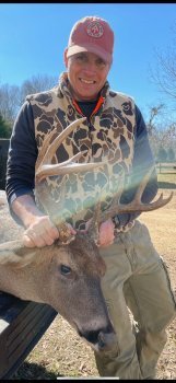 Deer Past