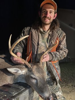 Deer Past