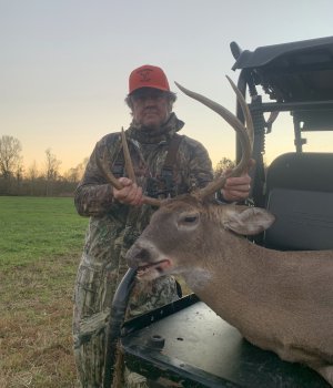 Deer Past