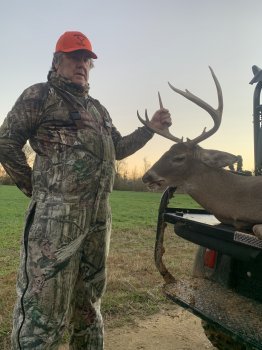 Deer Past