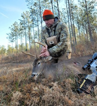 Deer Past