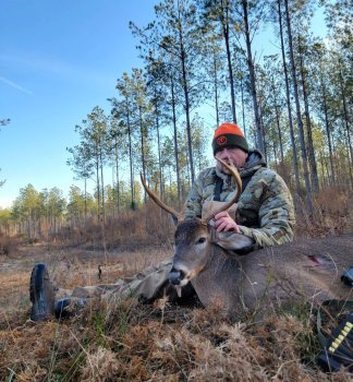 Deer Past