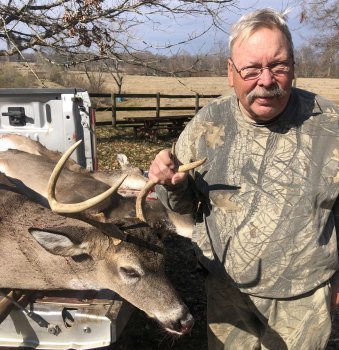 Deer Past