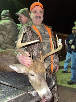 Deer Past