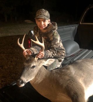 Deer Past