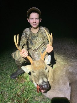Deer Past