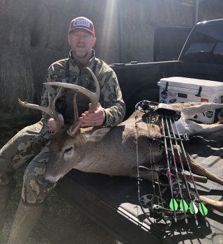 Deer Past