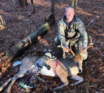 Deer Past