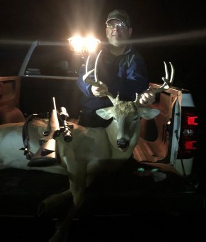 Deer Past