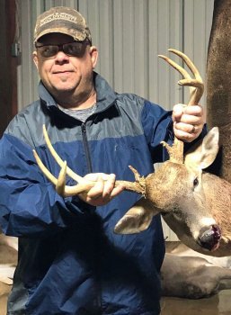 Deer Past