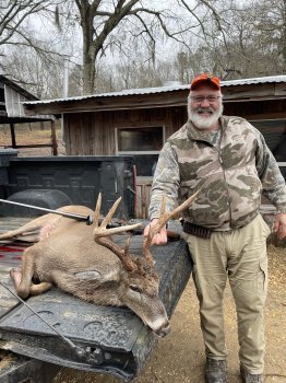 Deer Past